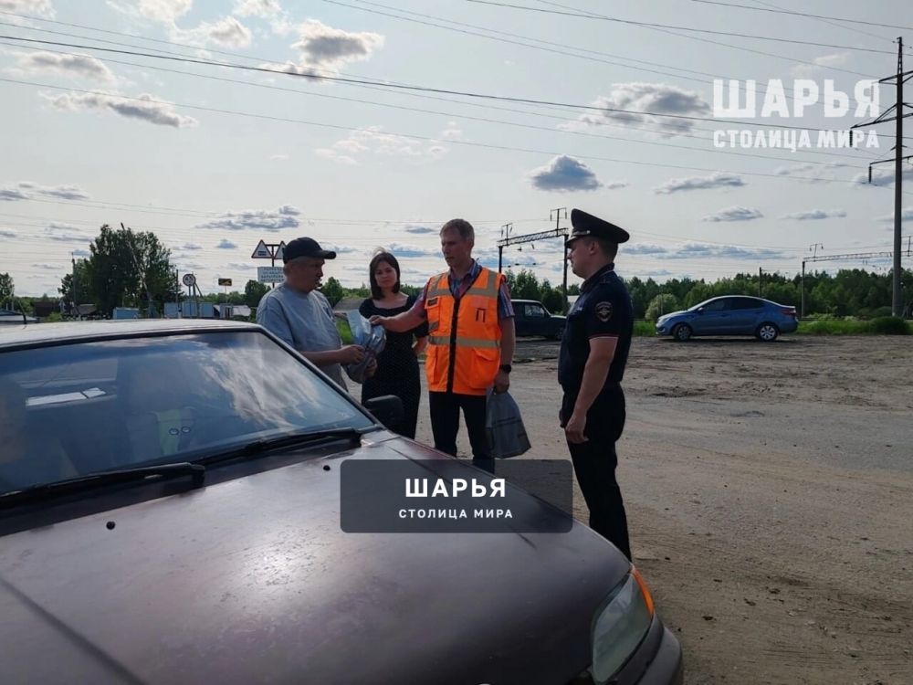 Профилактика может быть не просто полезна, но и приятна — Шарья — фото 2