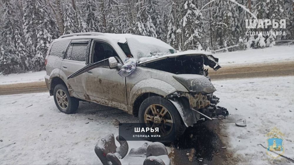 Дорожная авария в Макарьевском районе унесла жизни 2 человек — Шарья — фото 6