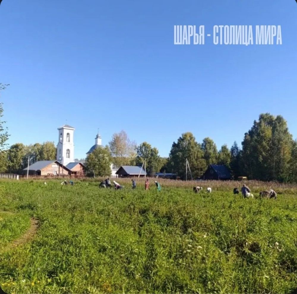История забытой церкви на реке Ветлуге, и редкого примера русского меценатства, вернувшего ей… — Шарья — фото 4
