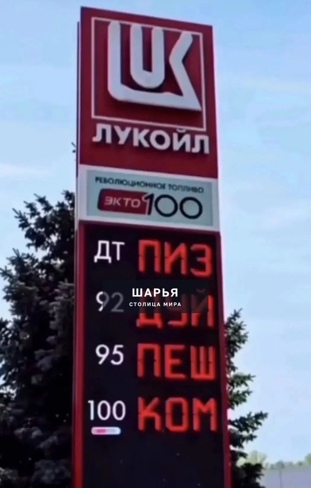 А-а-а-а-а Хочется кричать матом — Шарья — фото 9