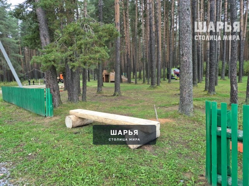 Коллектив МБУ ДО СШОР г. Шарья благодарит Александра Николаевича Коновалова, депутата… — фото 4