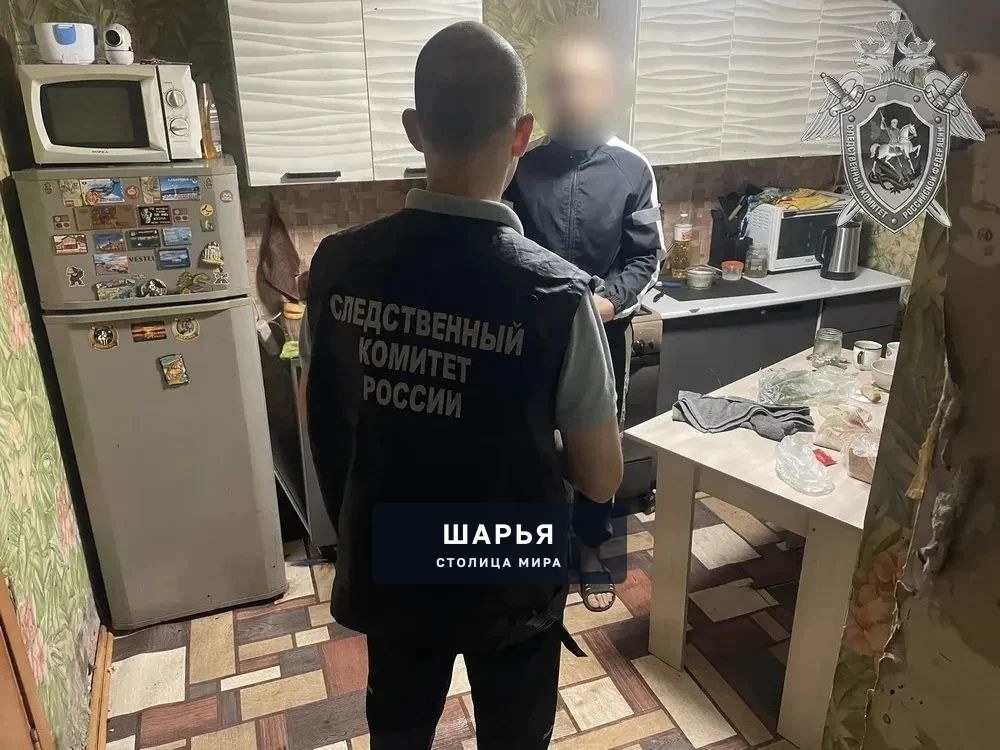 Шарьинец ненароком убил гостя, сильно избивив его — Шарья