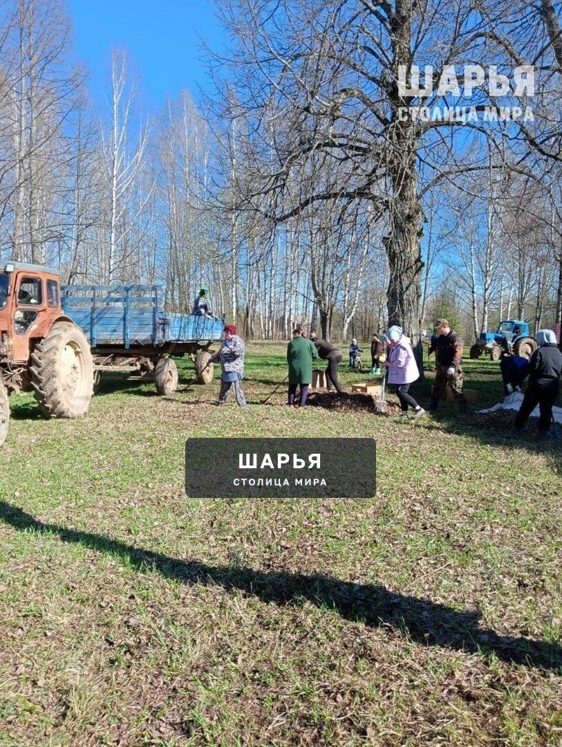 Несколько сотен жителей Шарьинского района вышли на субботники — Шарья — фото 3