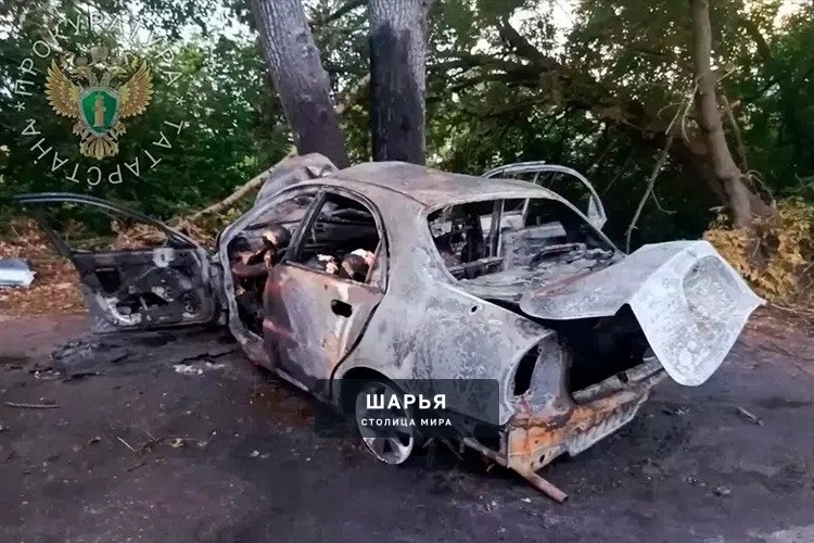 6 подростков сгорели заживо в Зеленодольске — Chevrolet Lanos влетел в дерево и выгорел дотла — Шарья — фото 2