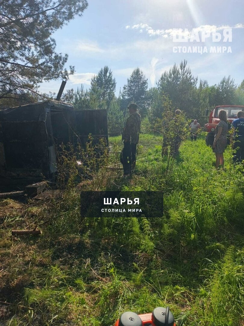 Оставленный рыбаками костер на берегу Ветлуги привел к лесному пожару — Шарья — фото 4