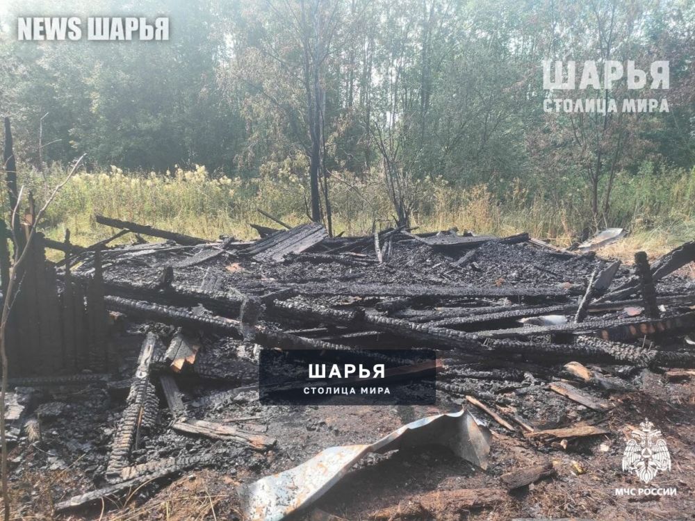 Единственный пожар в регионе произошел в Шарье — Шарья
