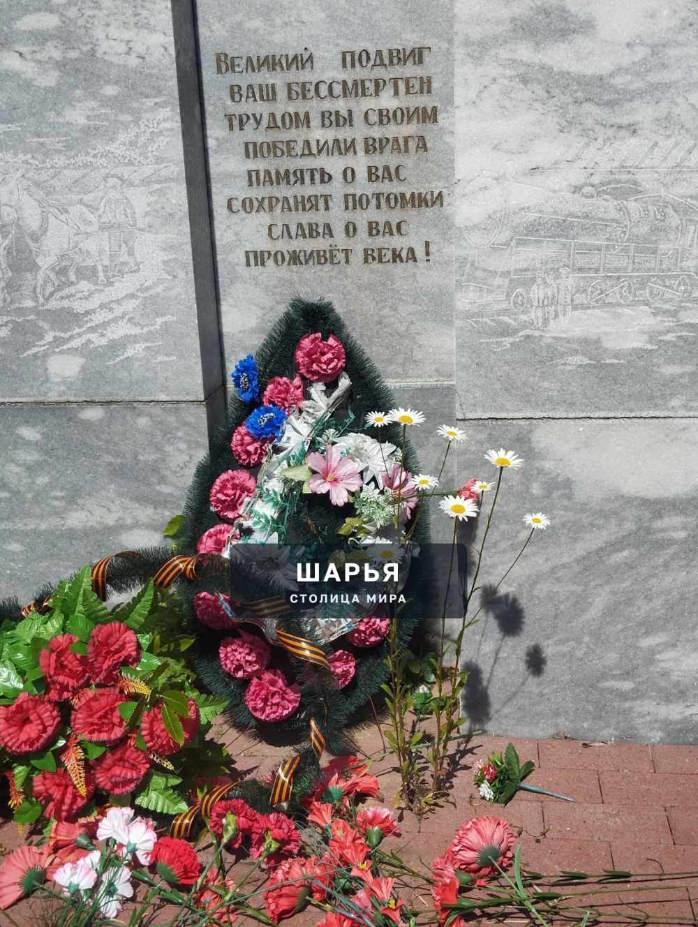 Вы видите это чудо! Ромашки пробились через кирпичи на памятнике — Шарья