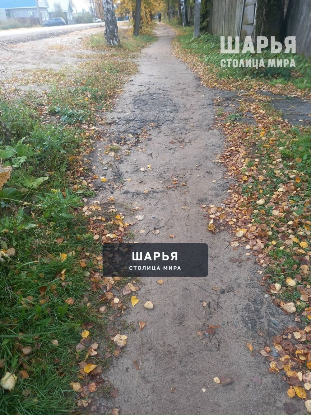 На тротуары асфальта не хватило? — Шарья — фото 5