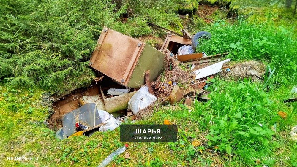 Очередная нычка от двуногих поросят была найдена в лесу — Шарья — фото 7