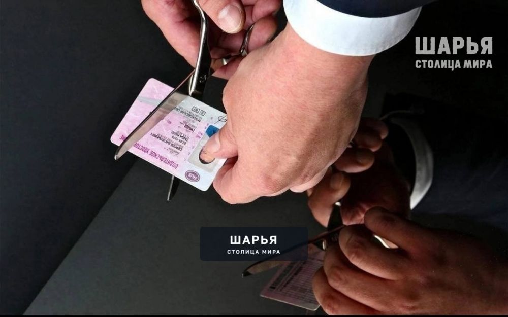 Два с лишним года шарьинец проведёт в колонии за использование подделки прав — Шарья