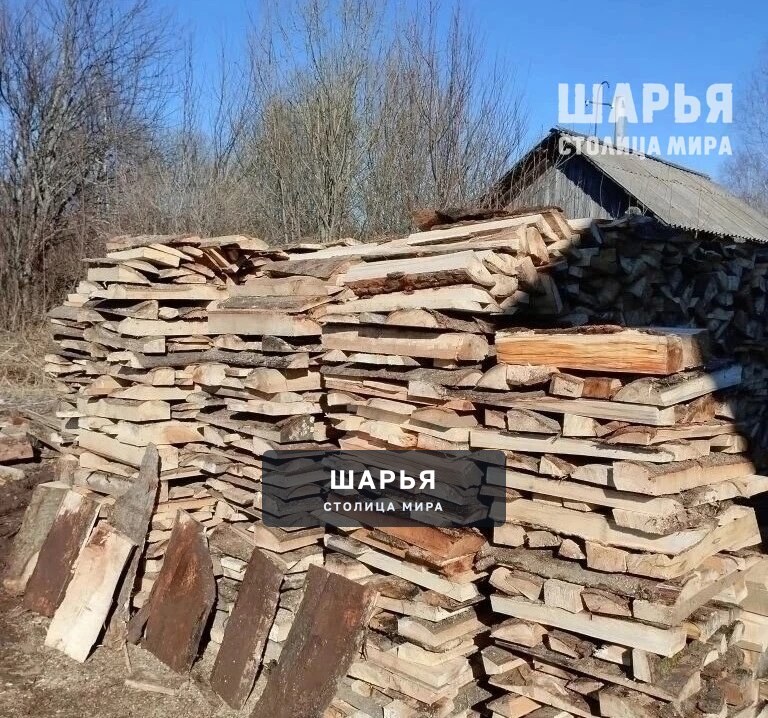 Юные жители Шарьинского района помогают пенсионерам — Шарья — фото 3