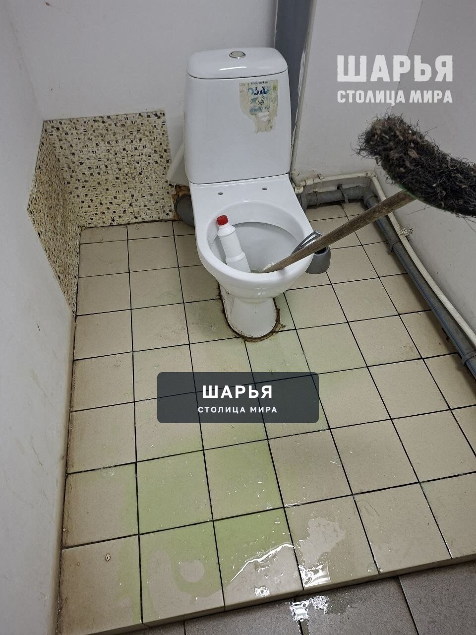 Шарьинские подростки "пачкают" сами себя морально — Шарья — фото 4