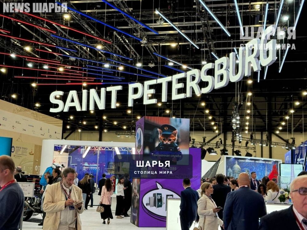 Губернатор дал ряд поручений по итогам работы на ПМЭФ-2025 — Шарья