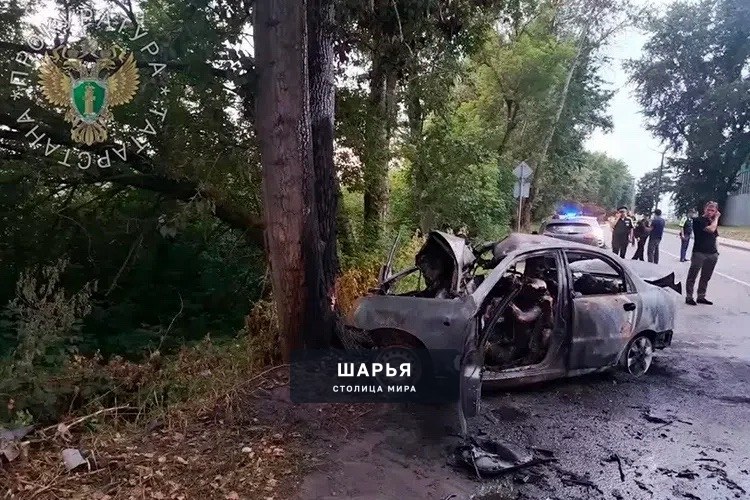 6 подростков сгорели заживо в Зеленодольске — Chevrolet Lanos влетел в дерево и выгорел дотла — Шарья