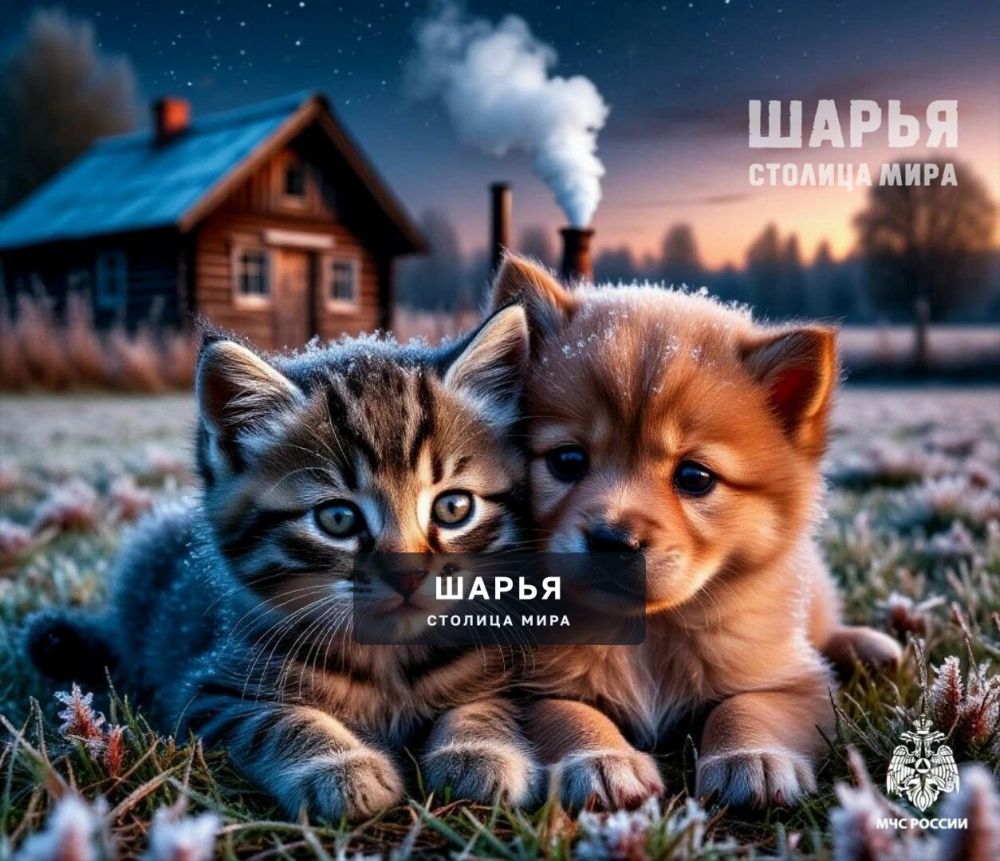 Неделя начнется с заморозков — Шарья
