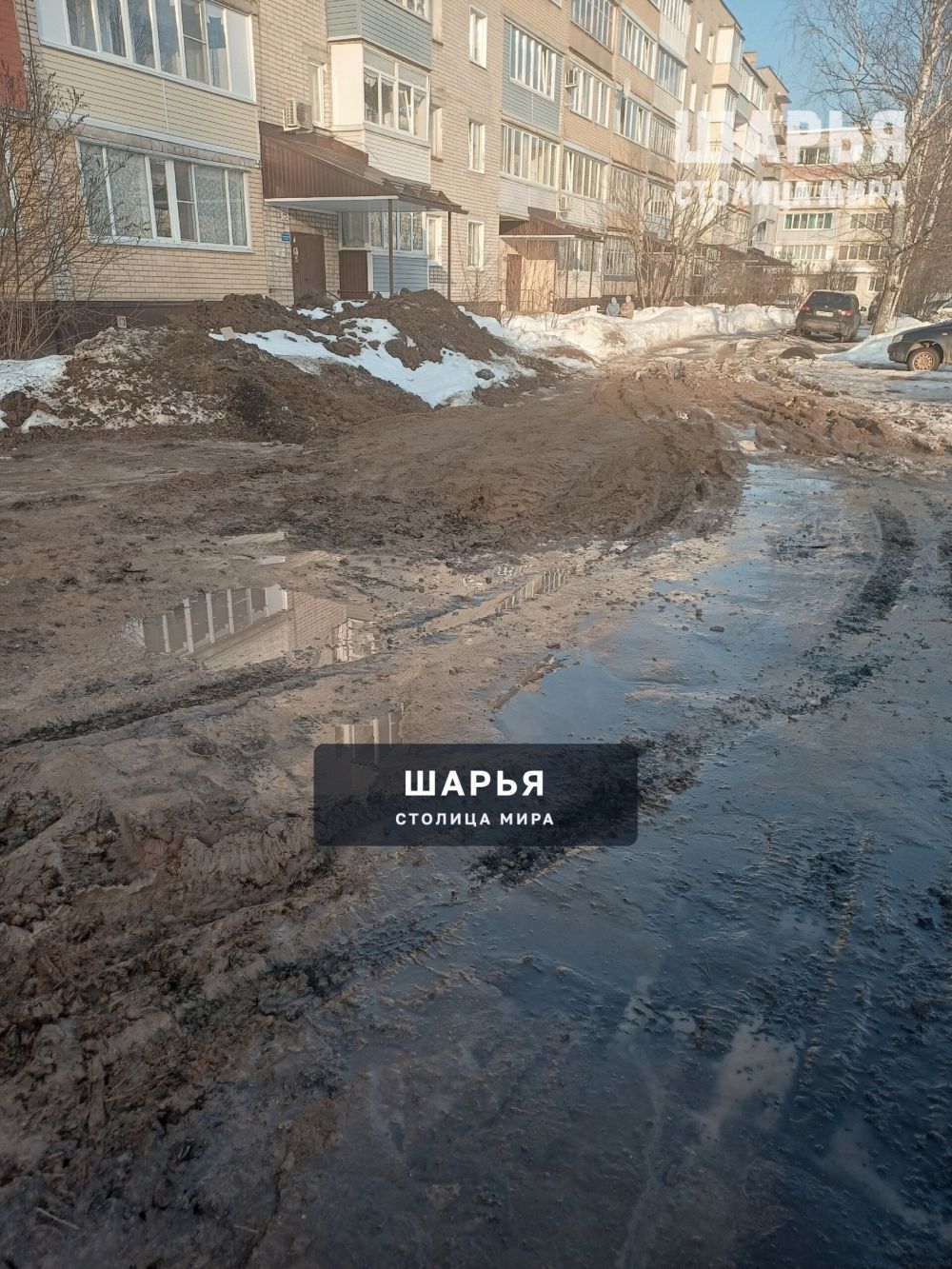 А грязь-то лечебная? — Шарья — фото 3