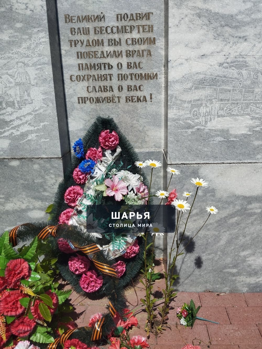 Вы видите это чудо! Ромашки пробились через кирпичи на памятнике — Шарья — фото 3