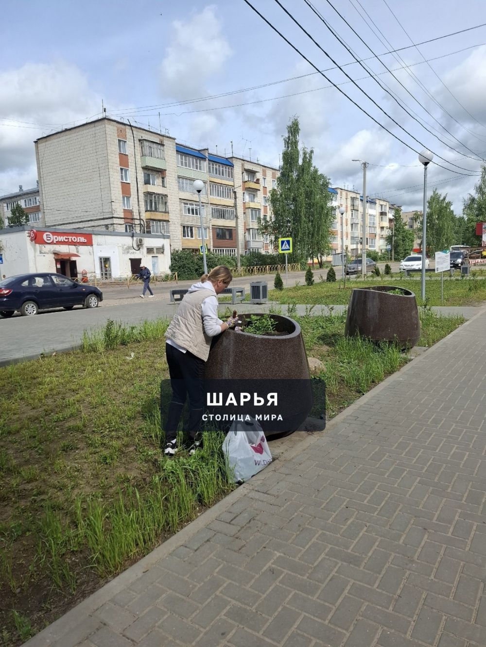 Сотрудницы ЦНК "Светлица" посадили цветы в сквере на Садовой — Шарья — фото 4