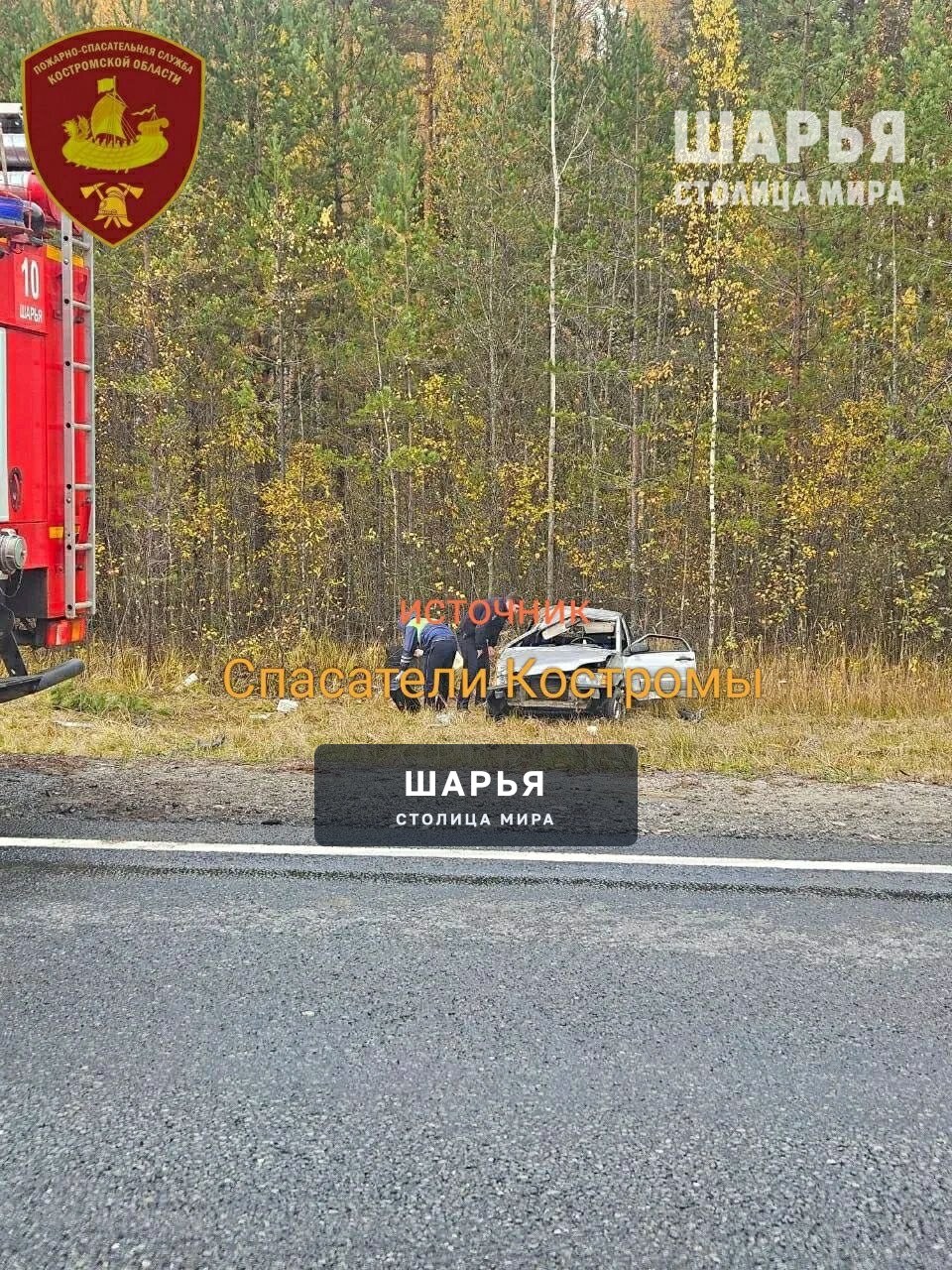 Сломал ногу, но остался жив — Шарья