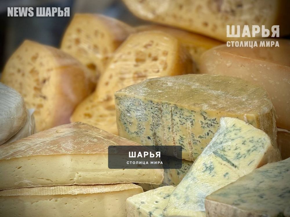 Всероссийский рекорд установлен на костромском фестивале сыра — Шарья — фото 3