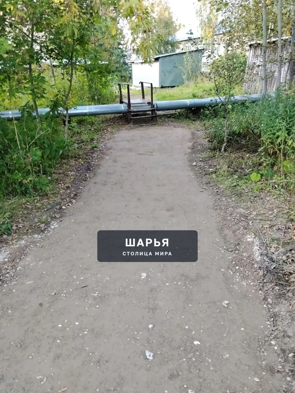 Шарьинцы помогают друг другу — Шарья — фото 5