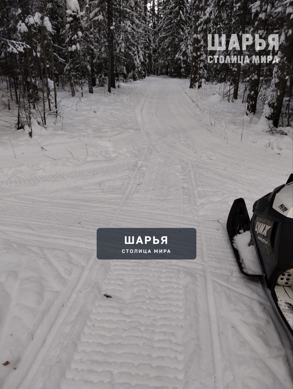 Спортивная школа олимпийского резерва Шарьи выражает благодарность Яковенко Владиславу, Попову… — Шарья — фото 4