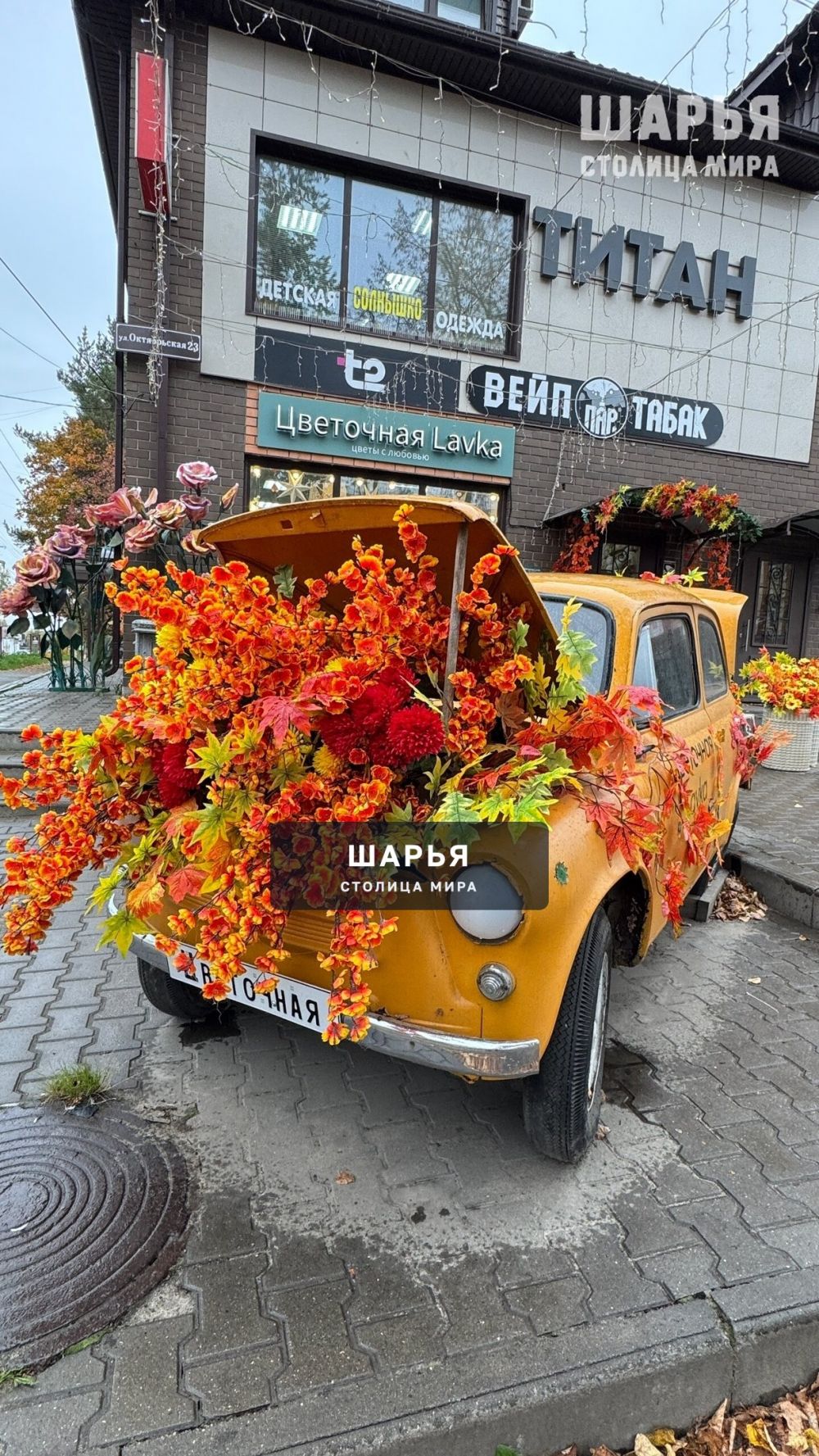 Осень — Шарья