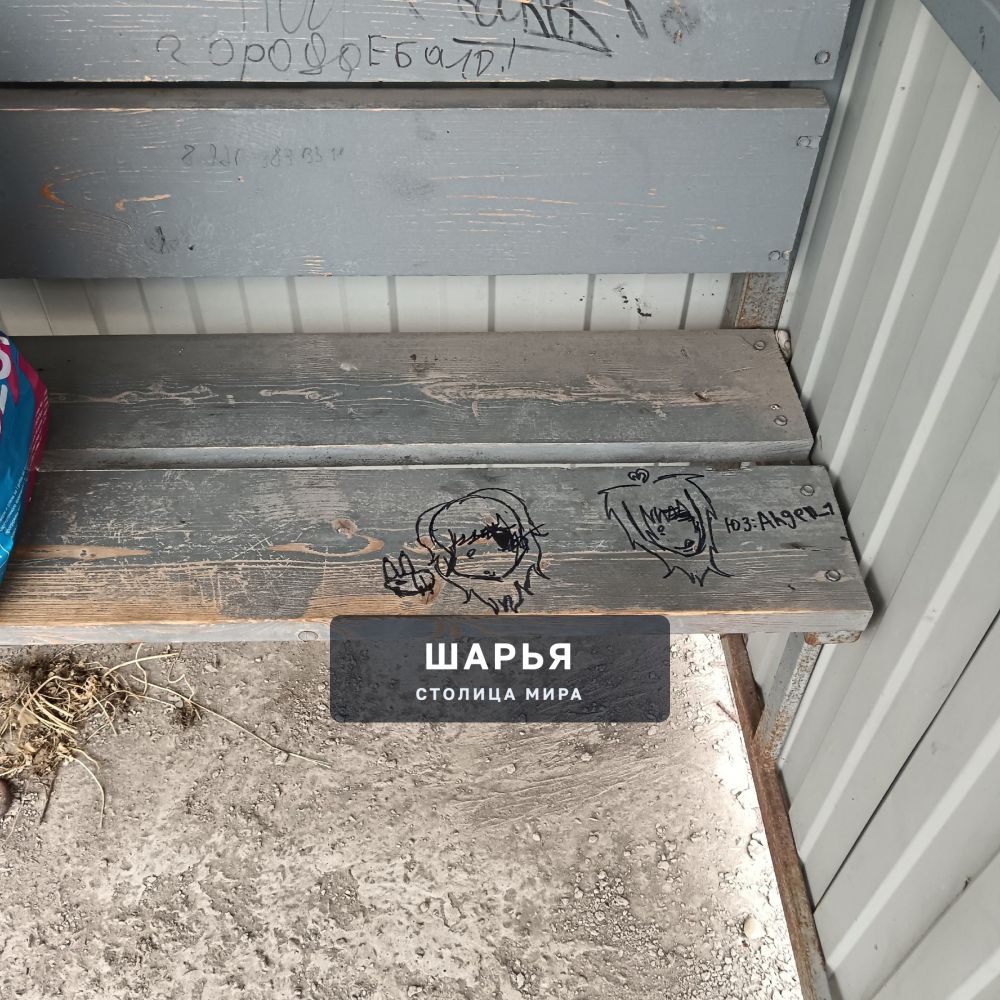 Самая гадкая и позорная остановка в городе. ул Ив Шатрова — Шарья — фото 2