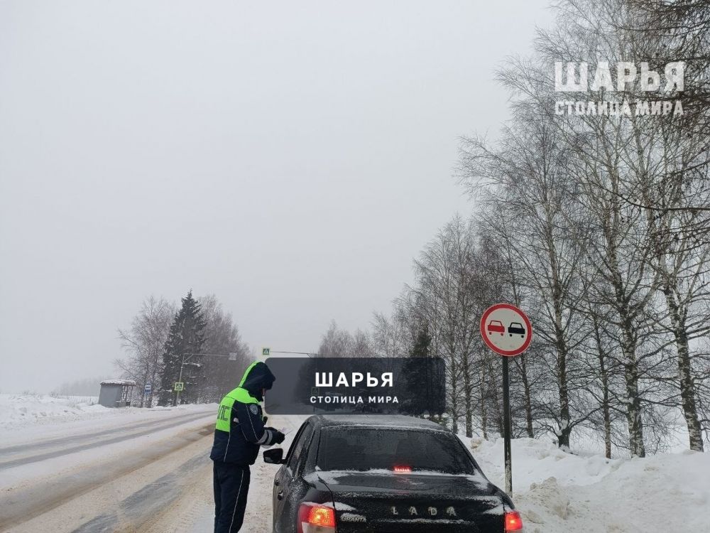 Автоинспекторы подвели итоги дополнительных рейдов — Шарья — фото 4