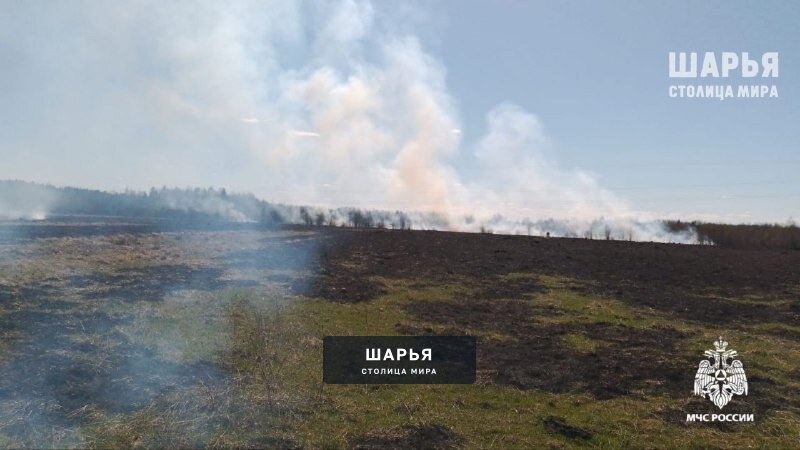 В Шарье зарегистрирован пал травы — Шарья