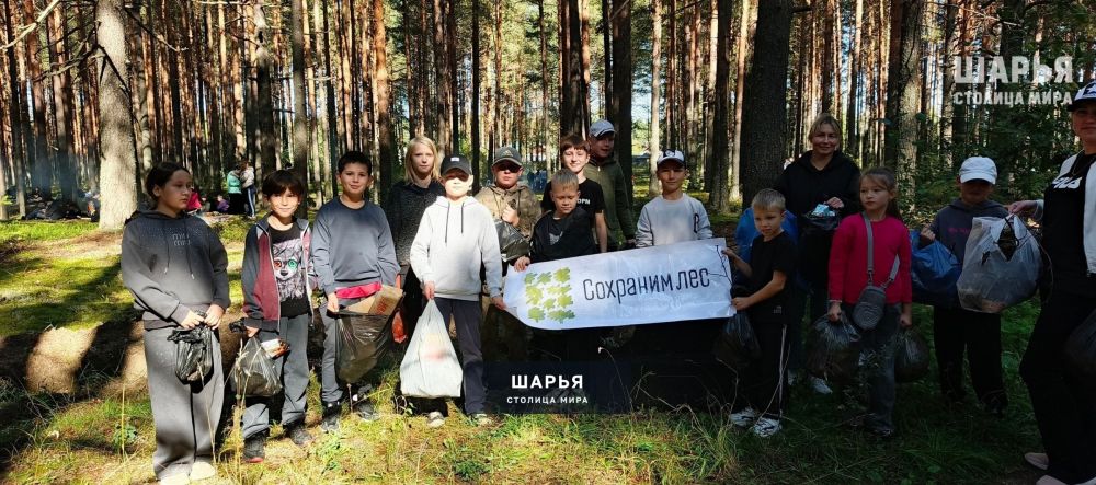 В Шарье прошла акция «Сохраним лес» — Шарья — фото 2