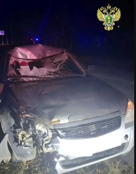 Возле костромской деревне в страшном ДТП погиб пешеход