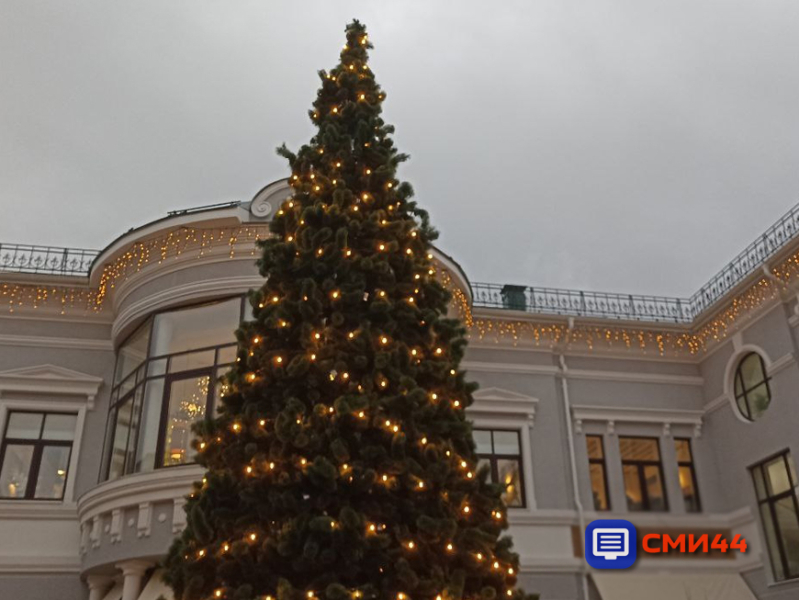 В Костроме выросла стоимость новогоднего отдыха
