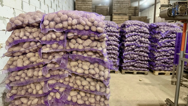 Продажа картофеля напрямую от производителей привела к снижению цен в Костромской области