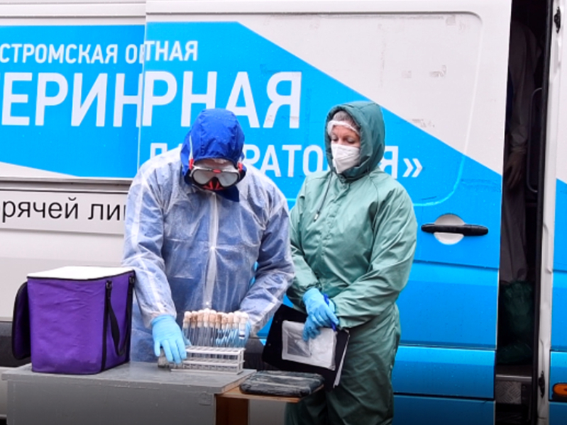 В костромской ИК-7 «нашли» заражённую колбасу — фото 1