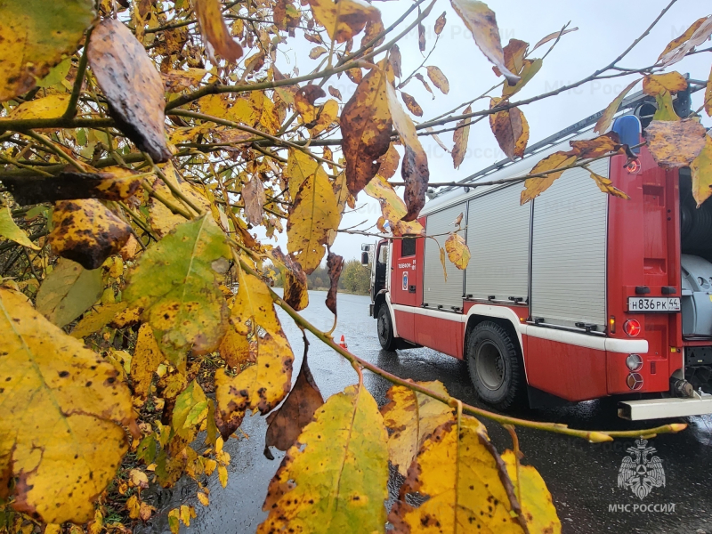 Три человека пострадали в пожарах в Костромской области за неделю