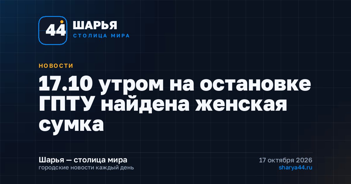 17.10 утром на остановке ГПТУ найдена женская сумка — Шарья