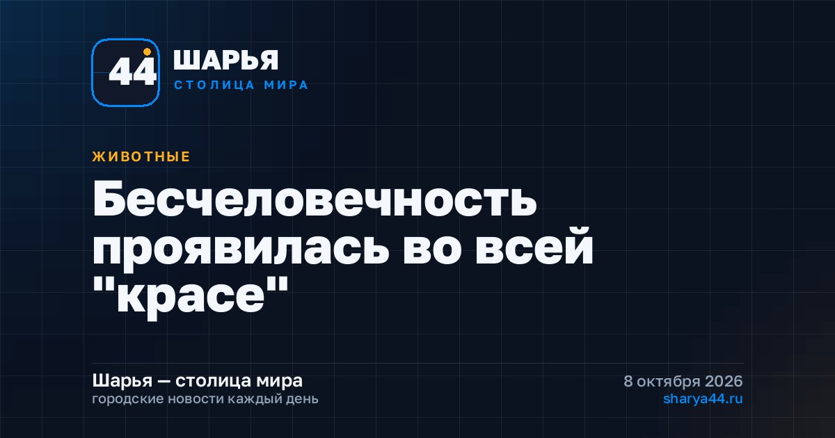 Бесчеловечность проявилась во всей "красе" — Шарья