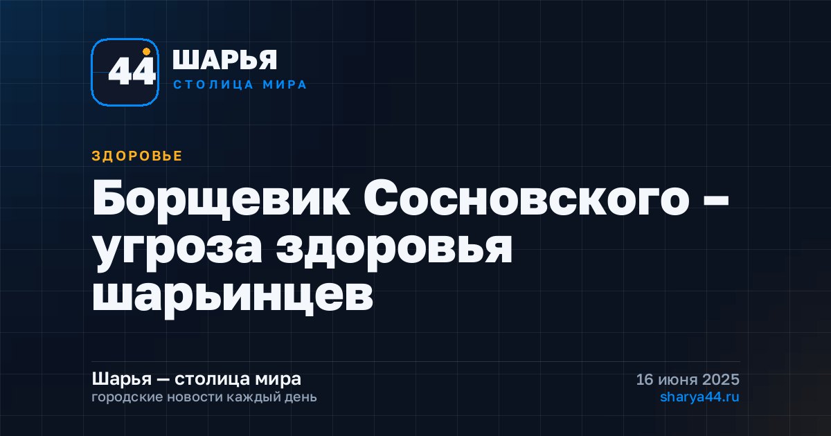 Борщевик Сосновского – угроза здоровья шарьинцев — Шарья
