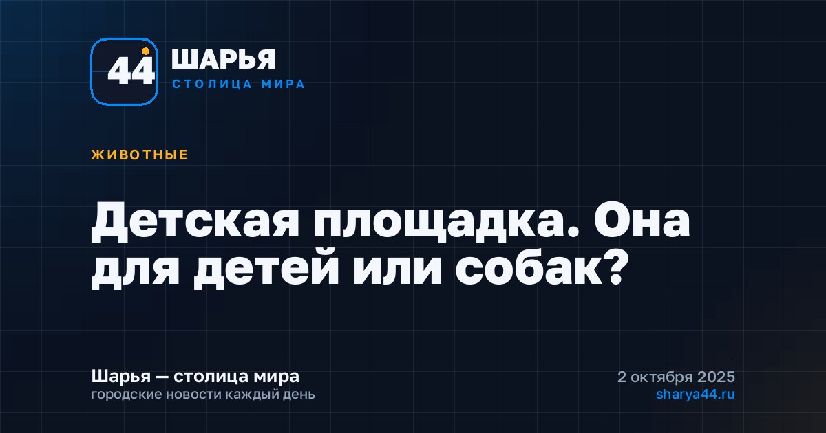 Детская площадка. Она для детей или собак? — Шарья