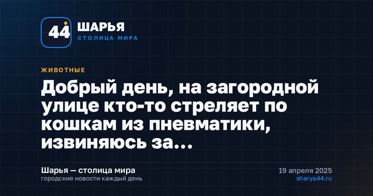 Добрый день, на загородной улице кто-то стреляет по кошкам из пневматики, извиняюсь за… — Шарья