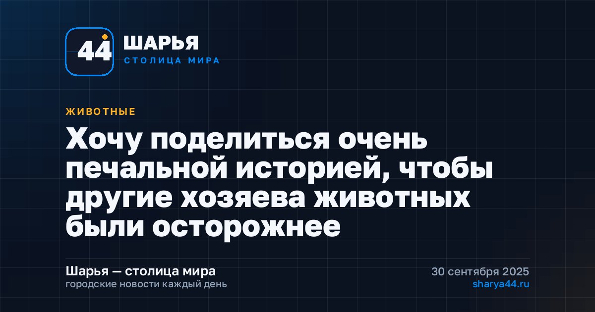 Хочу поделиться очень печальной историей, чтобы другие хозяева животных были осторожнее — Шарья
