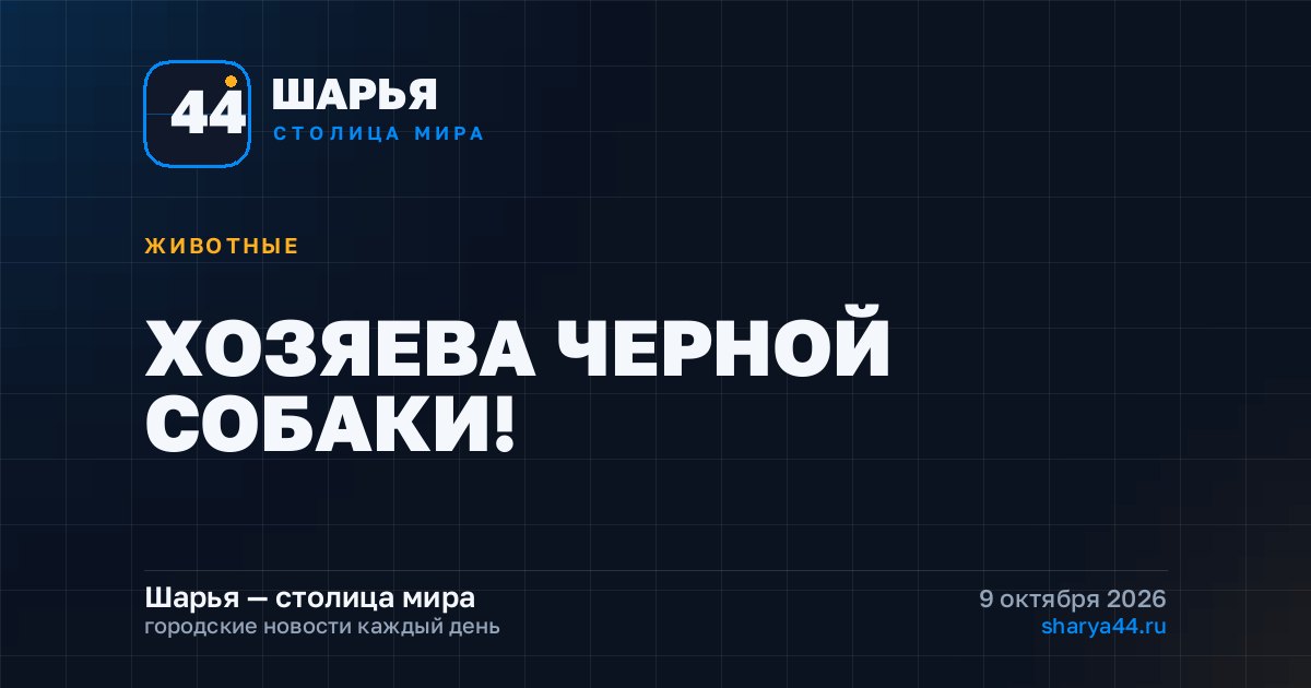 ХОЗЯЕВА ЧЕРНОЙ СОБАКИ! — Шарья