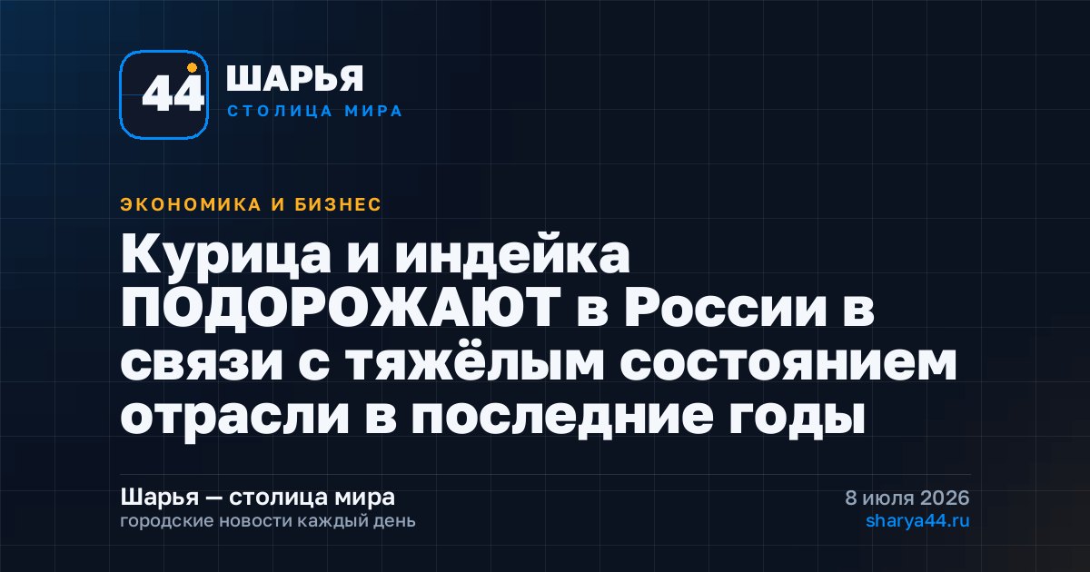 Курица и индейка ПОДОРОЖАЮТ в России в связи с тяжёлым состоянием отрасли в последние годы — Шарья