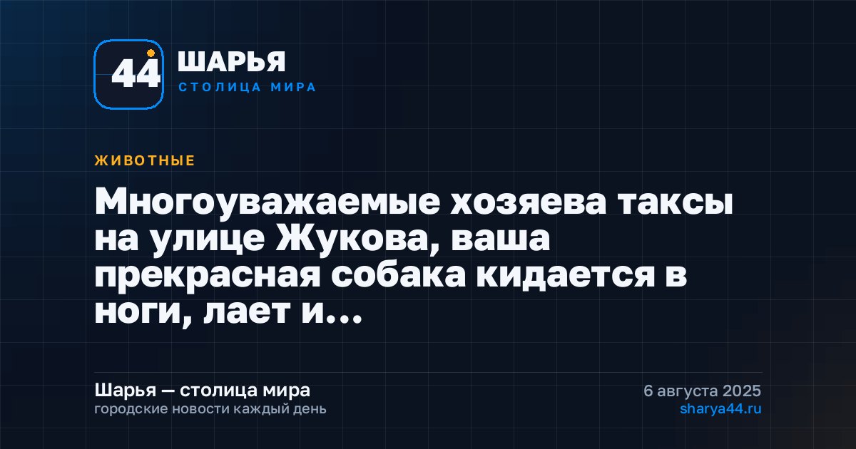 Многоуважаемые хозяева таксы на улице Жукова, ваша прекрасная собака кидается в ноги, лает и… — Шарья