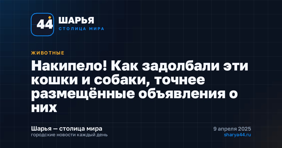 Накипело! Как задолбали эти кошки и собаки, точнее размещённые объявления о них — Шарья