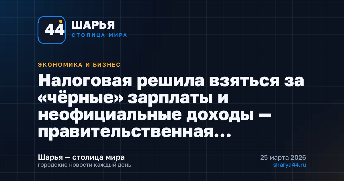 Налоговая решила взяться за «чёрные» зарплаты и неофициальные доходы — правительственная… — Шарья