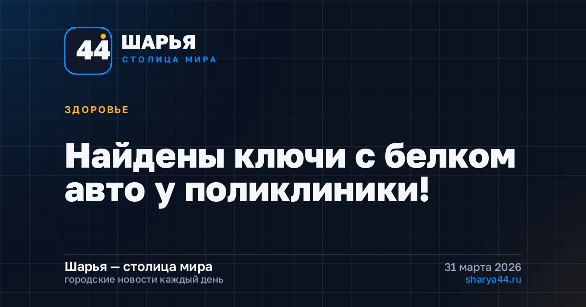 Найдены ключи с белком авто у поликлиники! — Шарья