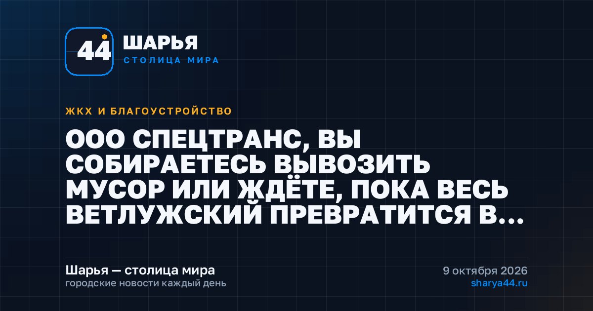 ООО СПЕЦТРАНС, ВЫ СОБИРАЕТЕСЬ ВЫВОЗИТЬ МУСОР ИЛИ ЖДЁТЕ, ПОКА ВЕСЬ ВЕТЛУЖСКИЙ ПРЕВРАТИТСЯ В… — Шарья