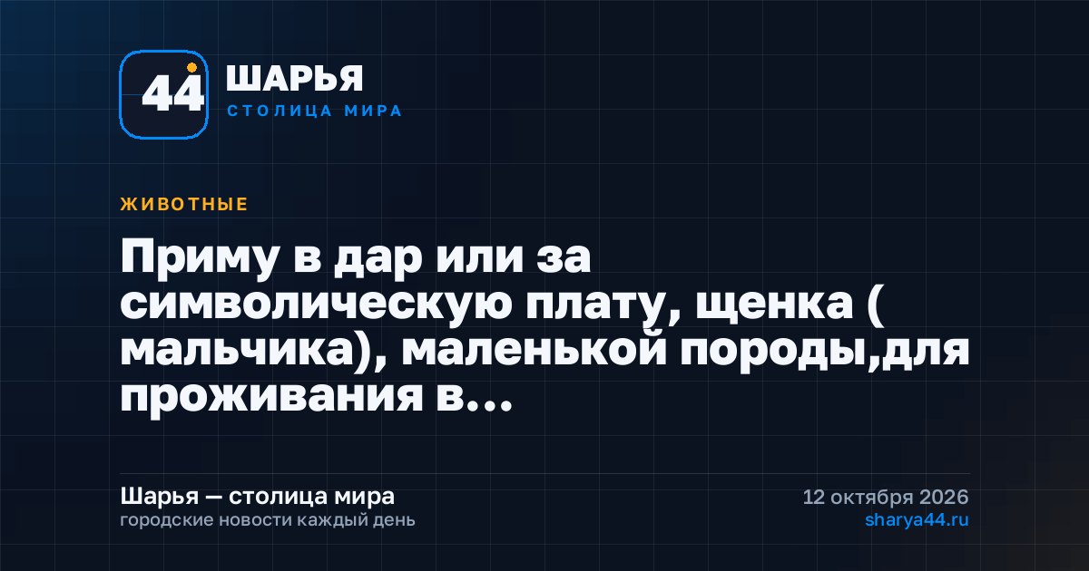 Приму в дар или за символическую плату, щенка ( мальчика), маленькой породы,для проживания в… — Шарья